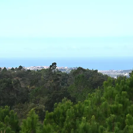 Casa Isqueiro Holiday home Cela (Leira)