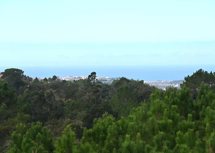 Casa Isqueiro Дом отдыха Cela (Leira)